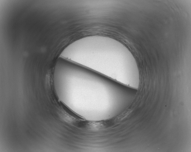 X0000075860333200609291554