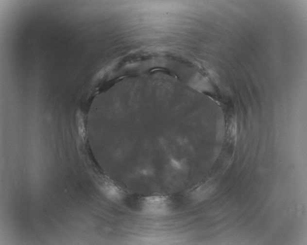 X0000075860335200609291554