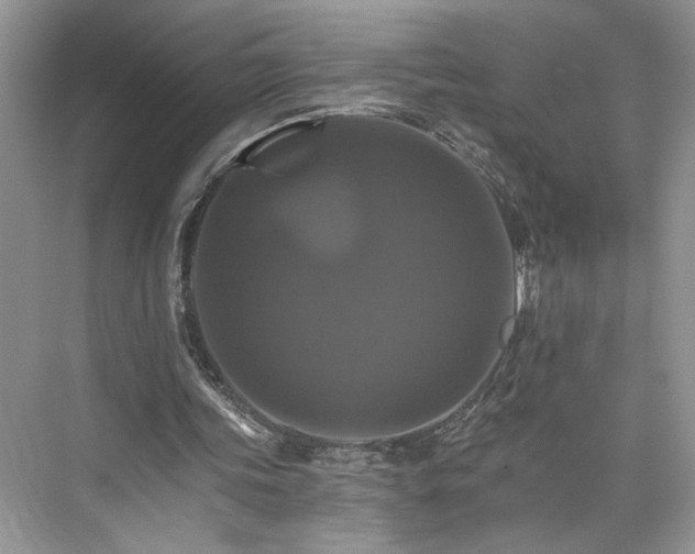 X0000075860339200609291553