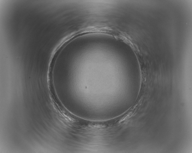 X0000075860340200609291553