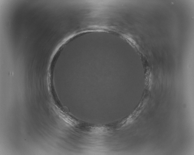 X0000075860342200609291553