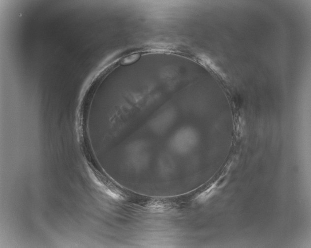 X0000075860343200609291553