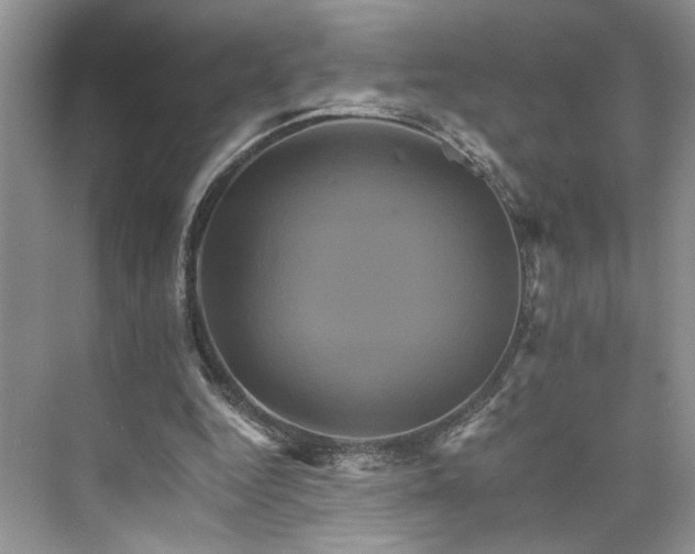 X0000075860344200609291553