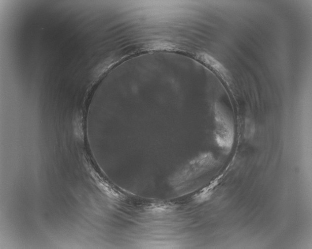 X0000075860345200609291553