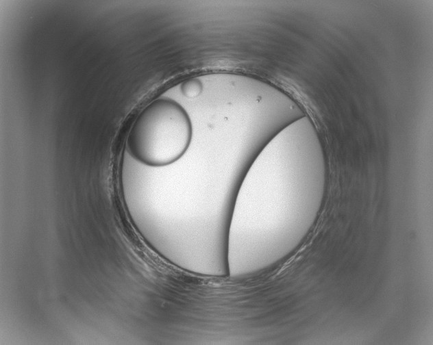 X0000075860346200609291553