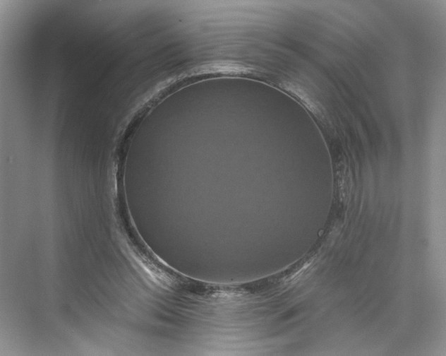 X0000075860350200609291554