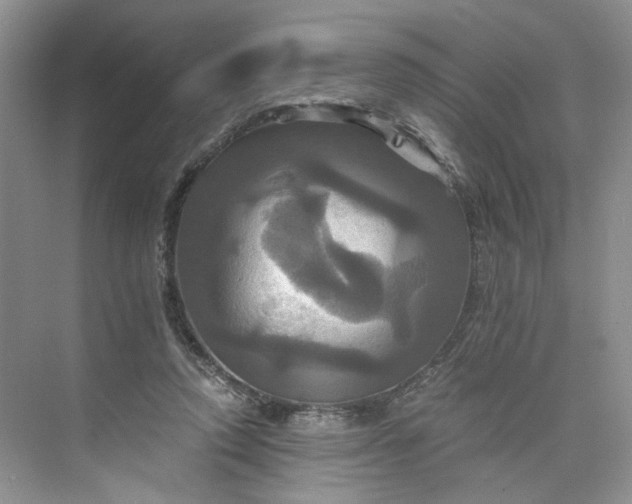 X0000075860354200609291554