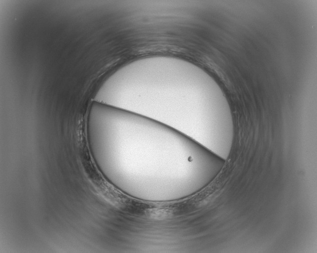 X0000075860356200609291554