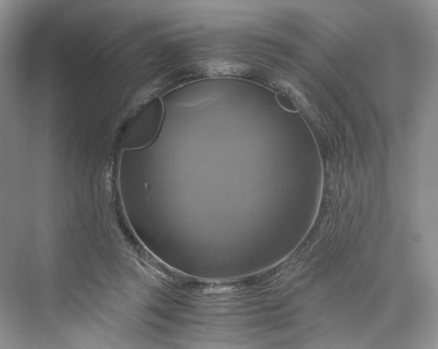 X0000075860357200609291554