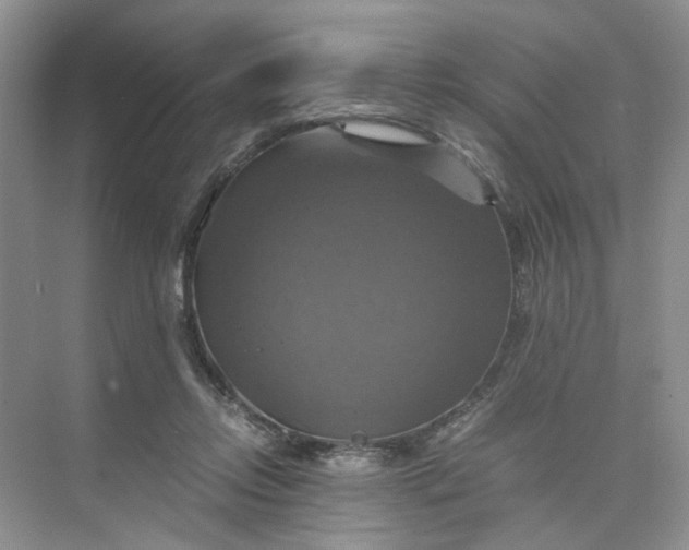 X0000075860358200609291554