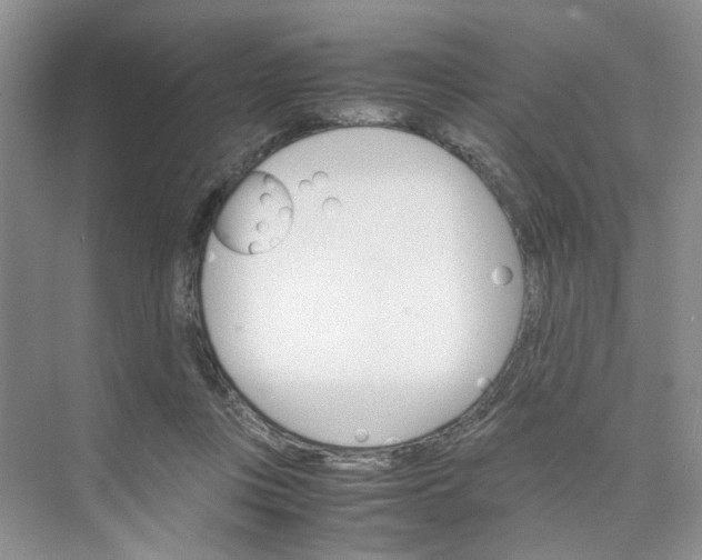 X0000075860359200609291554