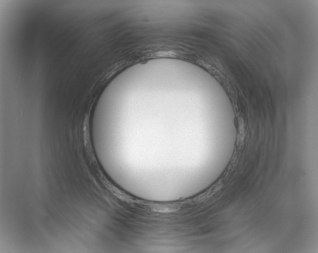 X0000075860360200609291554