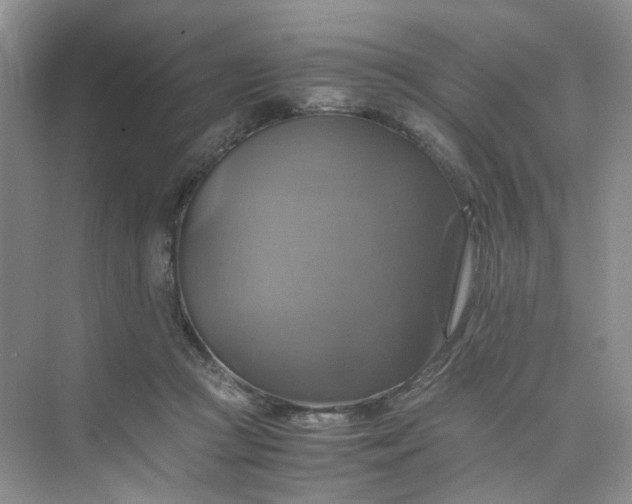 X0000075860361200609291554