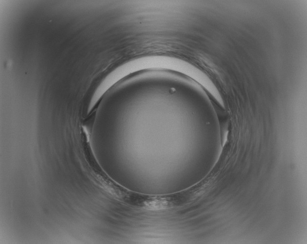 X0000075860362200609291554