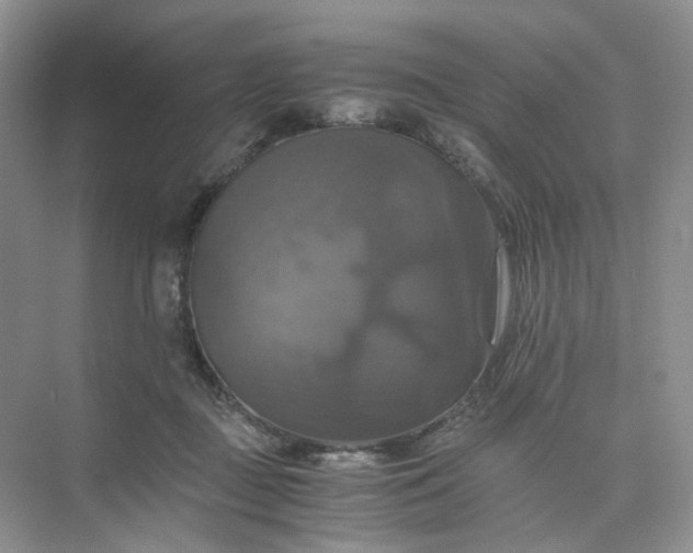 X0000075860363200609291554