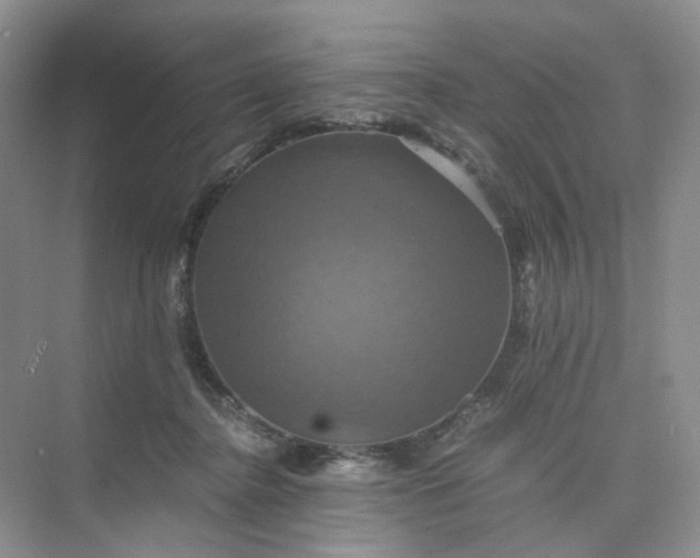 X0000075860364200609291554