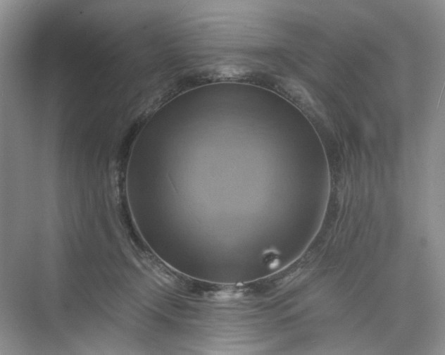 X0000075860366200609291554