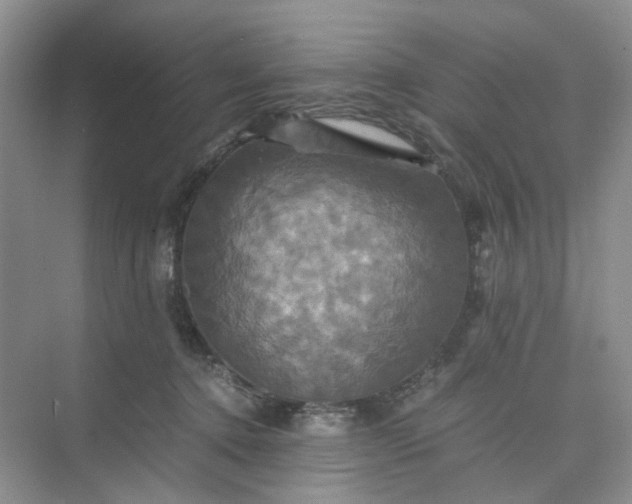 X0000075860368200609291554