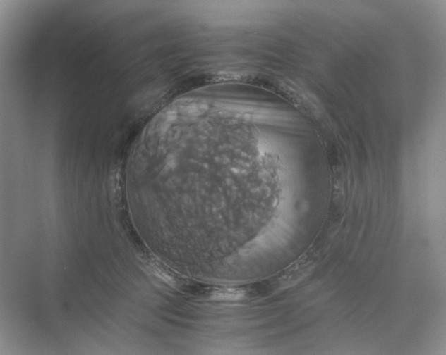 X0000075860369200609291554