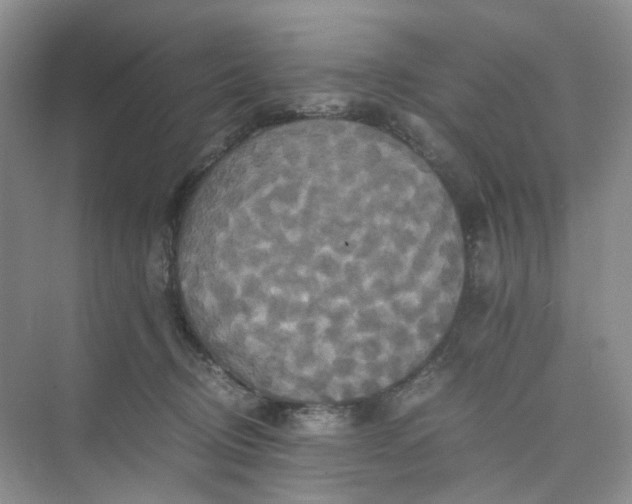 X0000075860370200609291554