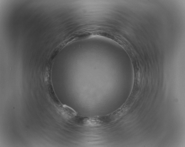 X0000075860372200609291554