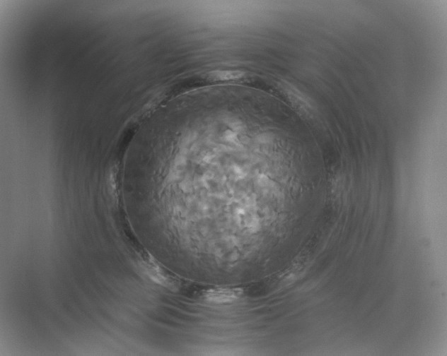 X0000075860373200609291554