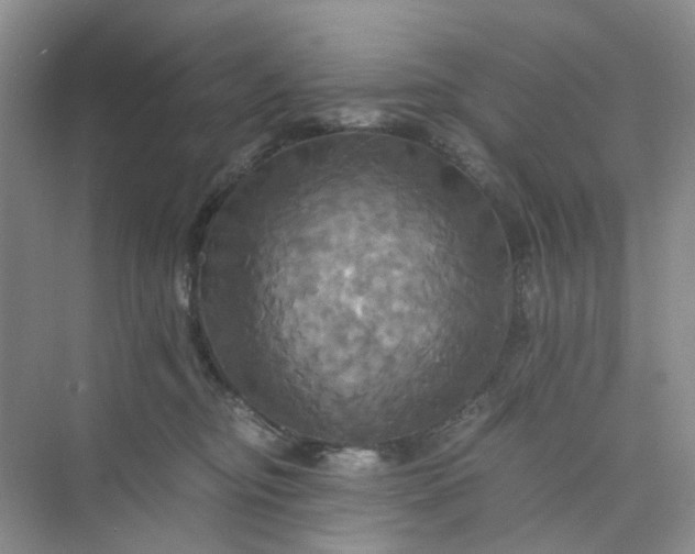 X0000075860374200609291554