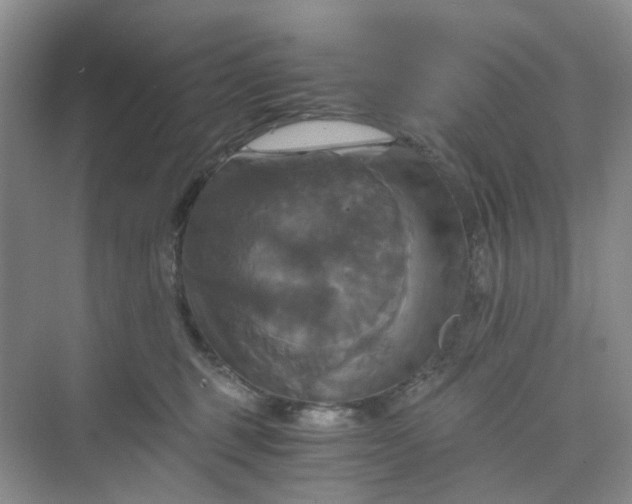 X0000075860375200609291554