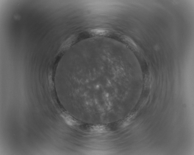 X0000075860377200609291554