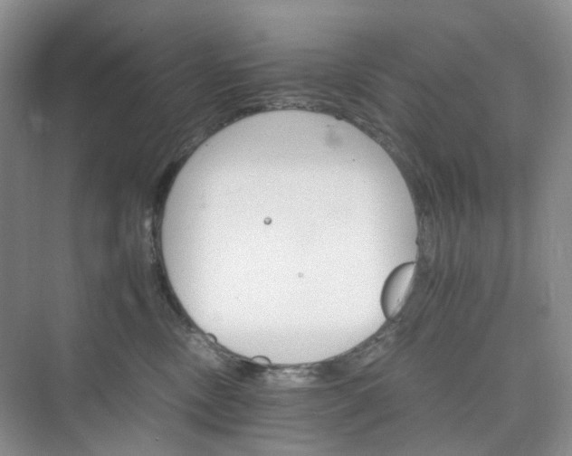 X0000075860378200609291554