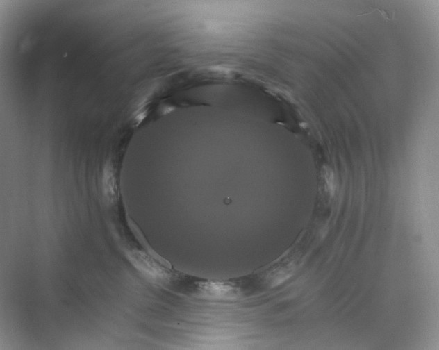 X0000075860380200609291554