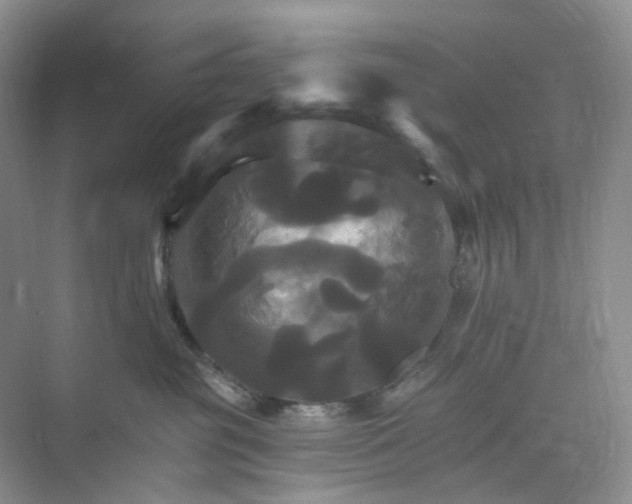 X0000075860381200609291554