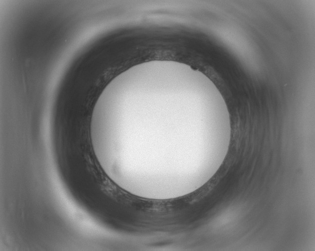 X0000075860383200609291554