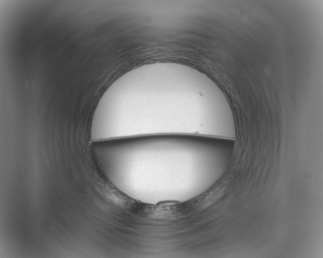 X0000075860384200609291554