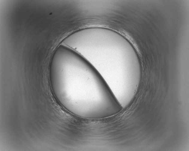 X0000075860385200609291553