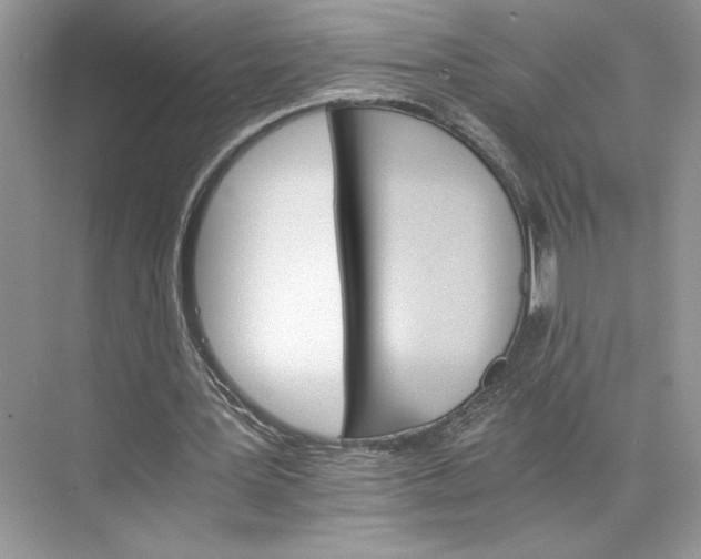 X0000075860387200609291553