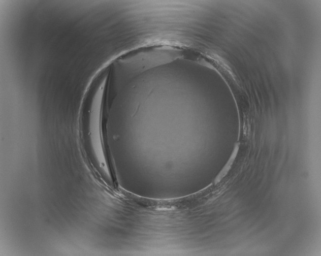 X0000075860388200609291553