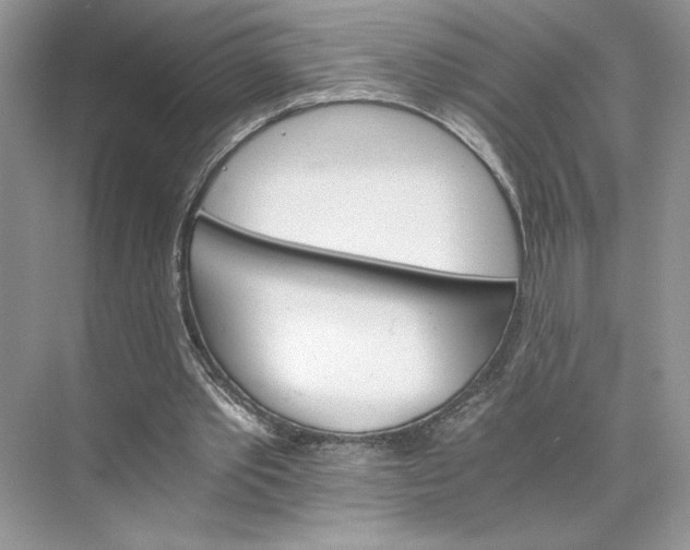 X0000075860389200609291553