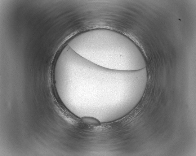 X0000075860390200609291553