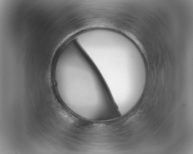 X0000075860391200609291553