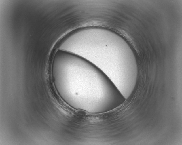 X0000075860392200609291553