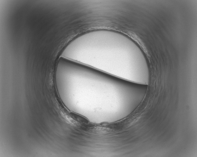 X0000075860393200609291553