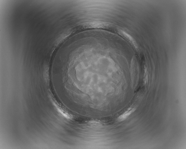 X0000075860394200609291553