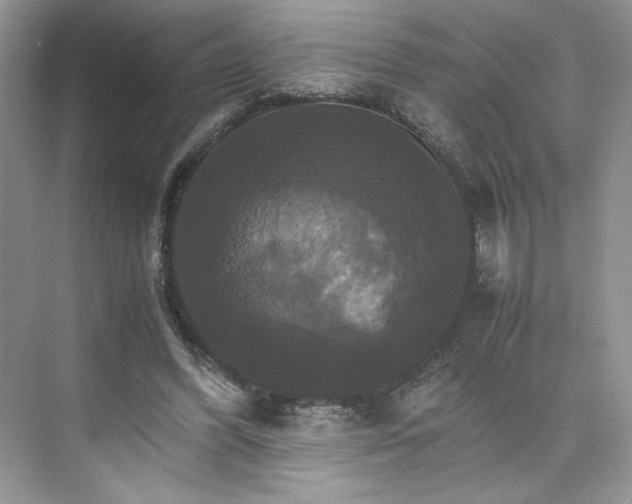 X0000075860396200609291553