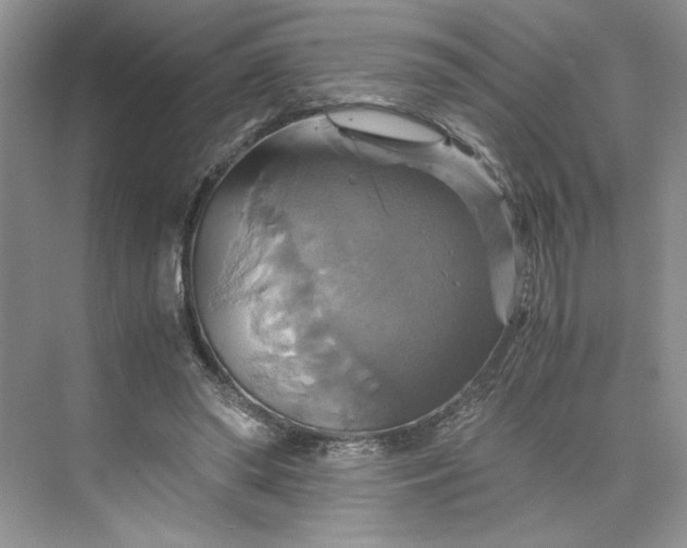 X0000075860398200609291553