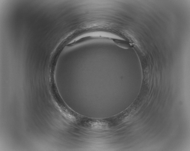 X0000075860400200609291553