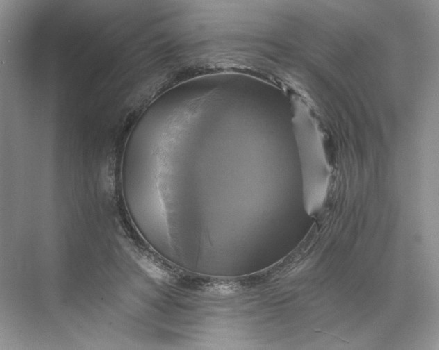 X0000075860402200609291553