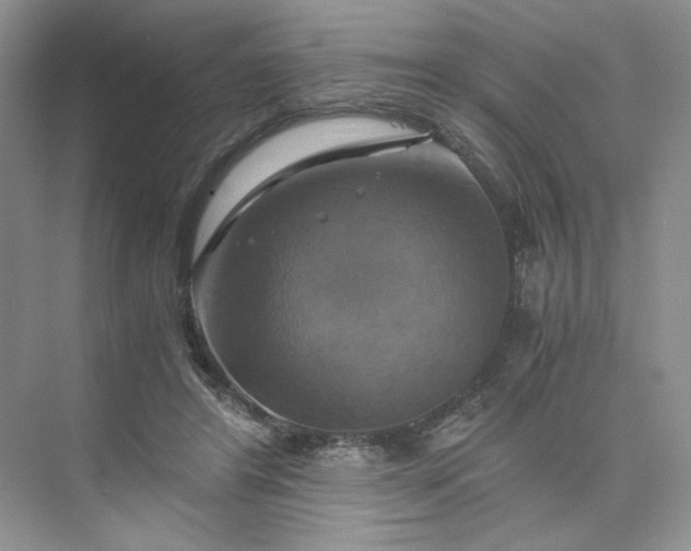 X0000075860404200609291553