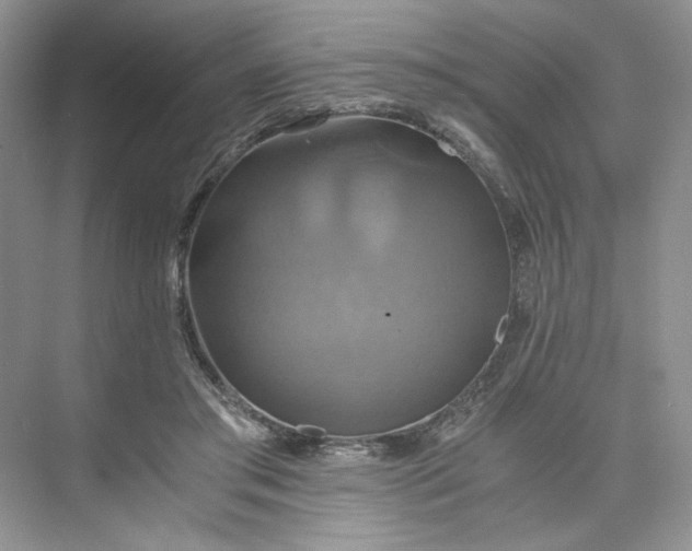 X0000075860405200609291553