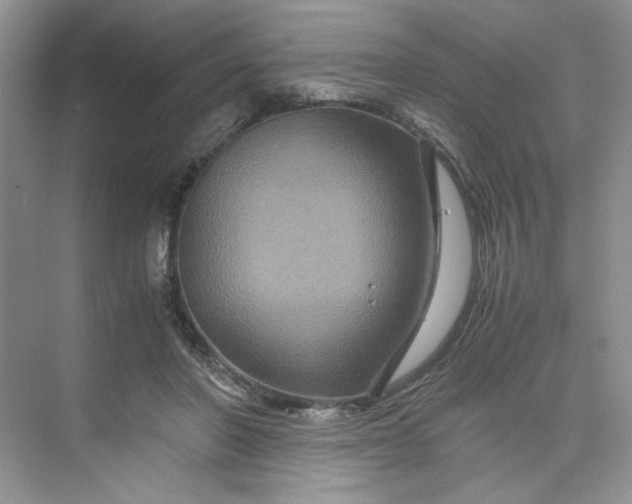 X0000075860406200609291553